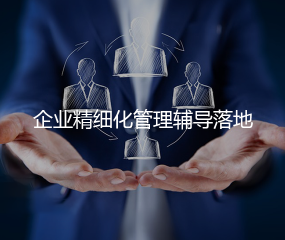 企业精细化管理全案辅导