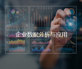 企业数据分析与应用